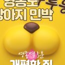 감사한민박 이미지