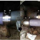 순천당약국 이미지