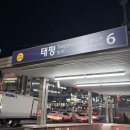 모도리브로우