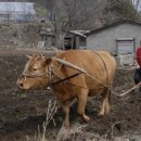 가평한옥마을 이미지