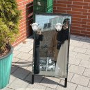 대왕판교로385번길 | 판교 파스타 맛집 건강한 맛의 울림테이블 바이 소일 가족끼리 다녀온 후기!