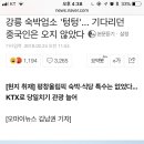 강릉 숙박업소 &#39;텅텅&#39;... 기다리던 중국인은 오지 않았다 이미지