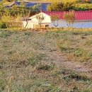 아드레이 이미지