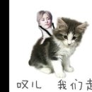 선우마트 - 김해시 | 선우마트