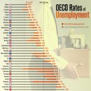 2025년 OECD 국가의 실업률 이미지