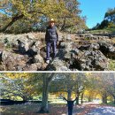 5월 16일 요산 리딩 Oakley Creek Walkway &amp; Waterview Reserve 이미지