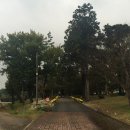 임피중학교 이미지