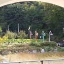 피끝마을펜션 네이버블로그