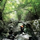 곰골스카이 이미지