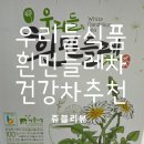 우리들식품 흰민들레차 건강차 티백차 추천 !!!