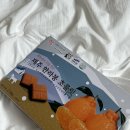 창포중학교 | 추억이란 덫에 일부러 발을 들여