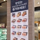 파리바게뜨 의정부북부점 | 파리바게트 가정간편식(HMR), 함박스테이크파스타 후기