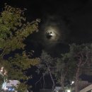 돈가삼겹살 이미지