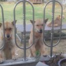 개편한 세상 이미지