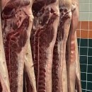 용마카서비스 | 제주 공항 흑돼지 맛집 : 오직흑돼지 내돈내산 솔직후기 (주차 본점 예약 웨이팅 혼밥 애견동반)