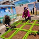 도봉농장 이미지