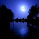 물결치는 달빛 ( 이미지