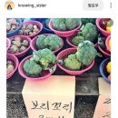 나콩네일