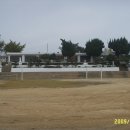 팔금초등학교 이미지