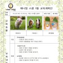 애니멀스쿨 이미지