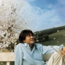 꽃피는 봄이 오면 이미지