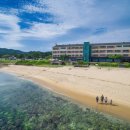 금강철새로마트 | 화진포콘도 후기, 동해바다와 안보역사가 만나는 군인가족 휴양지