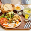 토마토ll | 갈마동 데이트 대전 브런치 카페 추천 그리스 지중해식 샐러드 올리빈.ll Olibean