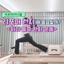 리핏 스튜디오 | 마곡 ·마곡역 필라테스｜ 허리통증 완화에 도움되는 리포머 미니볼 시퀀스 (런지, 플랭크)