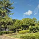 남해-63 | [남해&amp;부산여행] 1. 남해 _ 숙소 후기 (남해 유자하우스)