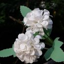 소구월사거리 이미지