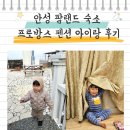 프로방스 | 안성 팜랜드 숙소 프로방스 펜션 아이랑 후기