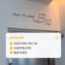 지도공원(관리사 옆) | 대구 동성로 B10에스테틱 블랙헤드 관리 잘하는 곳(민감성 피부도 가능)