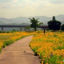 나래공원 이미지