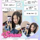 캔디샵