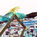 금빛 반달고개 이미지