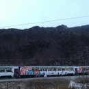 연세드림약국 이미지