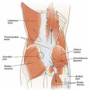 프로 팰리스 짐 이미지