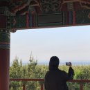 고래불국민야영장 이미지