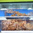 기장대게 이미지