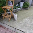 군청앞길 이미지