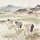 청명 Daum카페