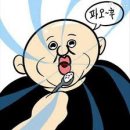 돼지소한마리 이미지