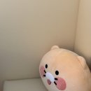 라빵드리쯔 이미지