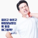 세종 정형외과 앞 네이버블로그