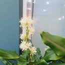 태양부동산공인중개사사무소 이미지