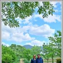 교항1리 이미지