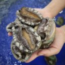 삼대전복 이미지