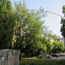 강남-141 이미지