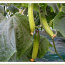 종희농장 이미지