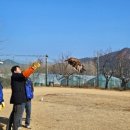 조류보호협회 밀양시지회 이미지